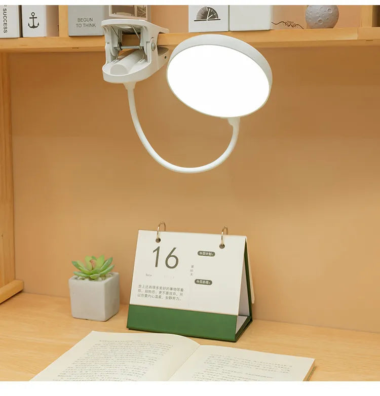 Clip-on/Stand-up Desk Lamp